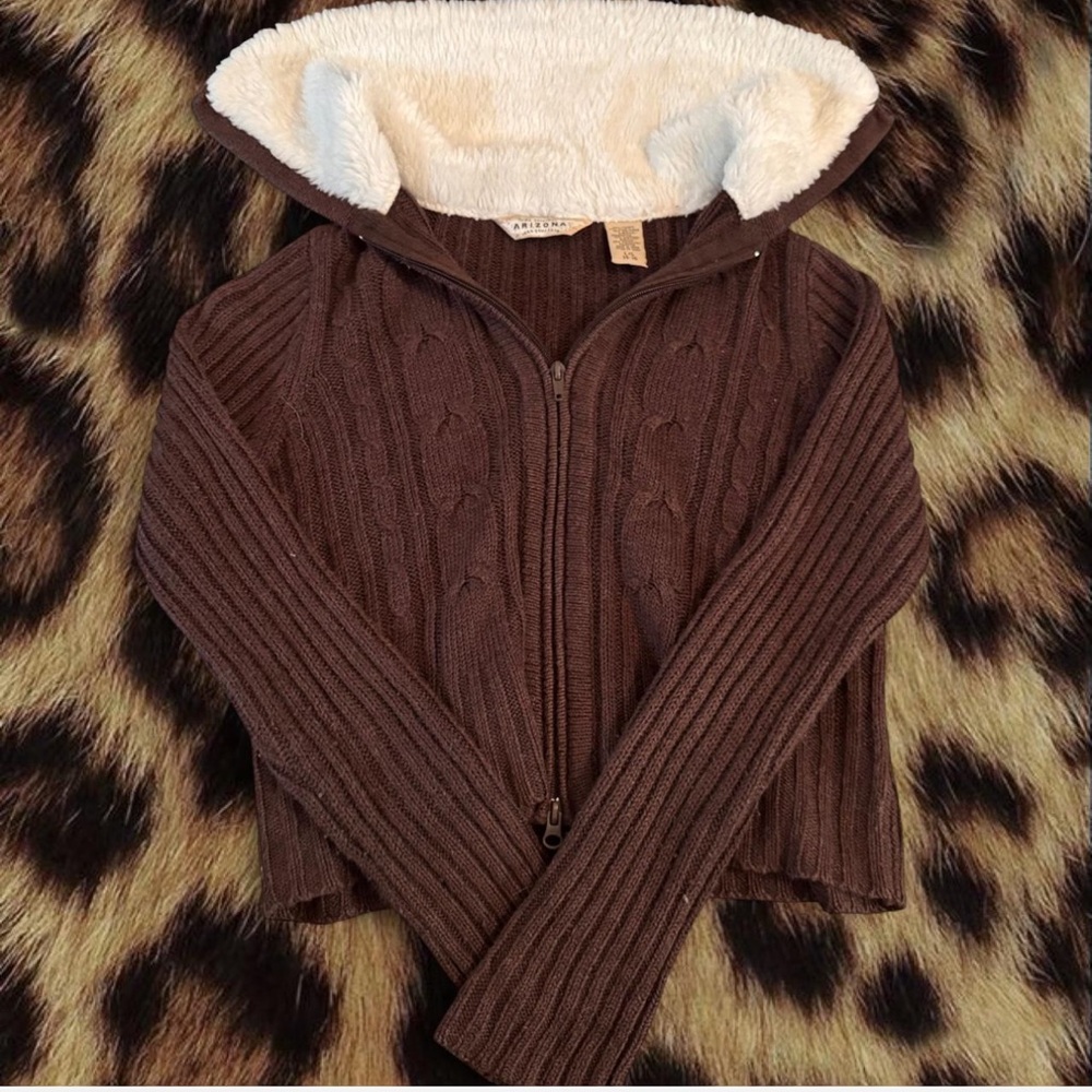 Arizona Jean Company Brown Hooded Sweatshirt